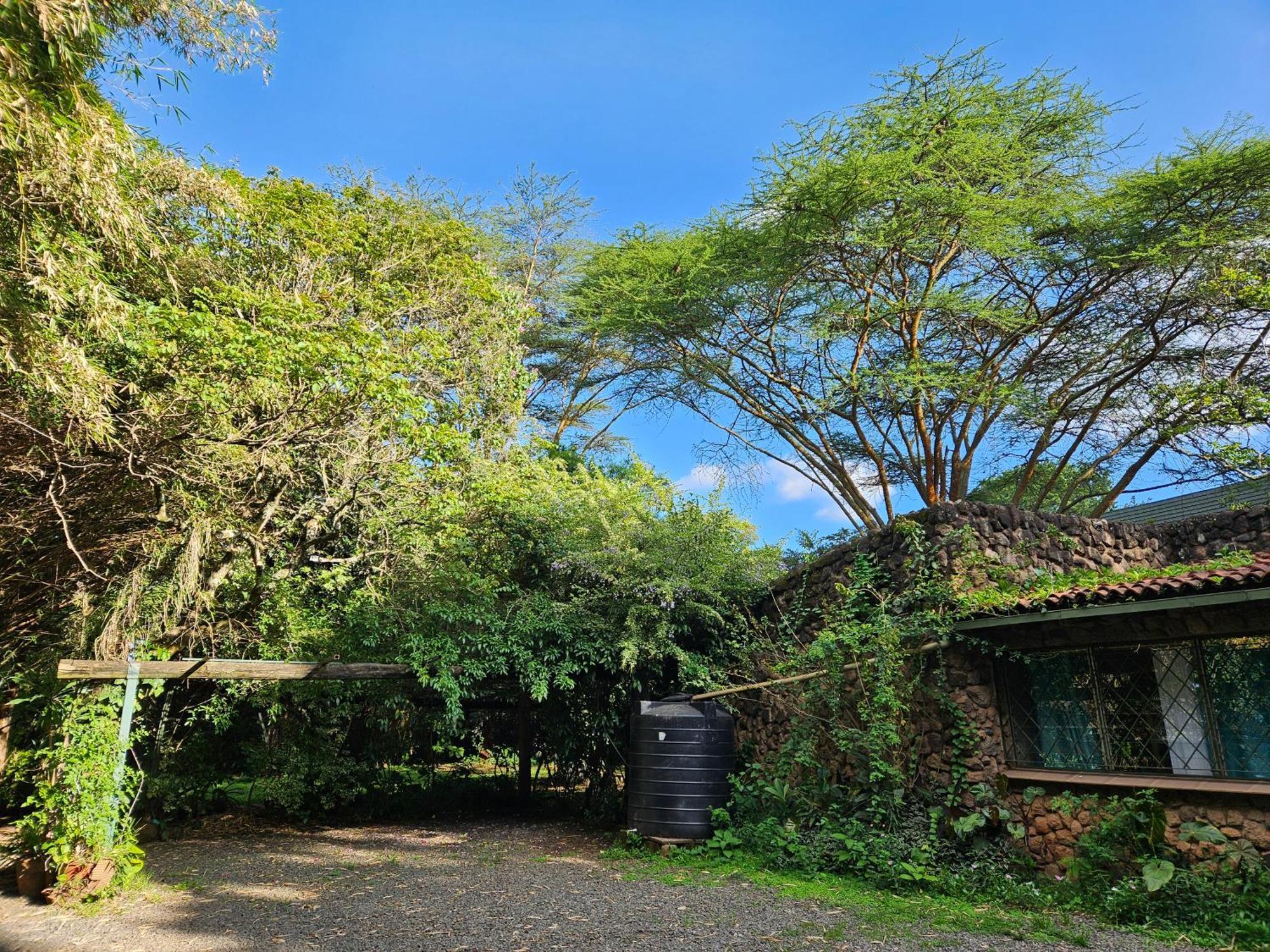 Mad Vervet Nairobi Backpackers Hostel Exterior foto