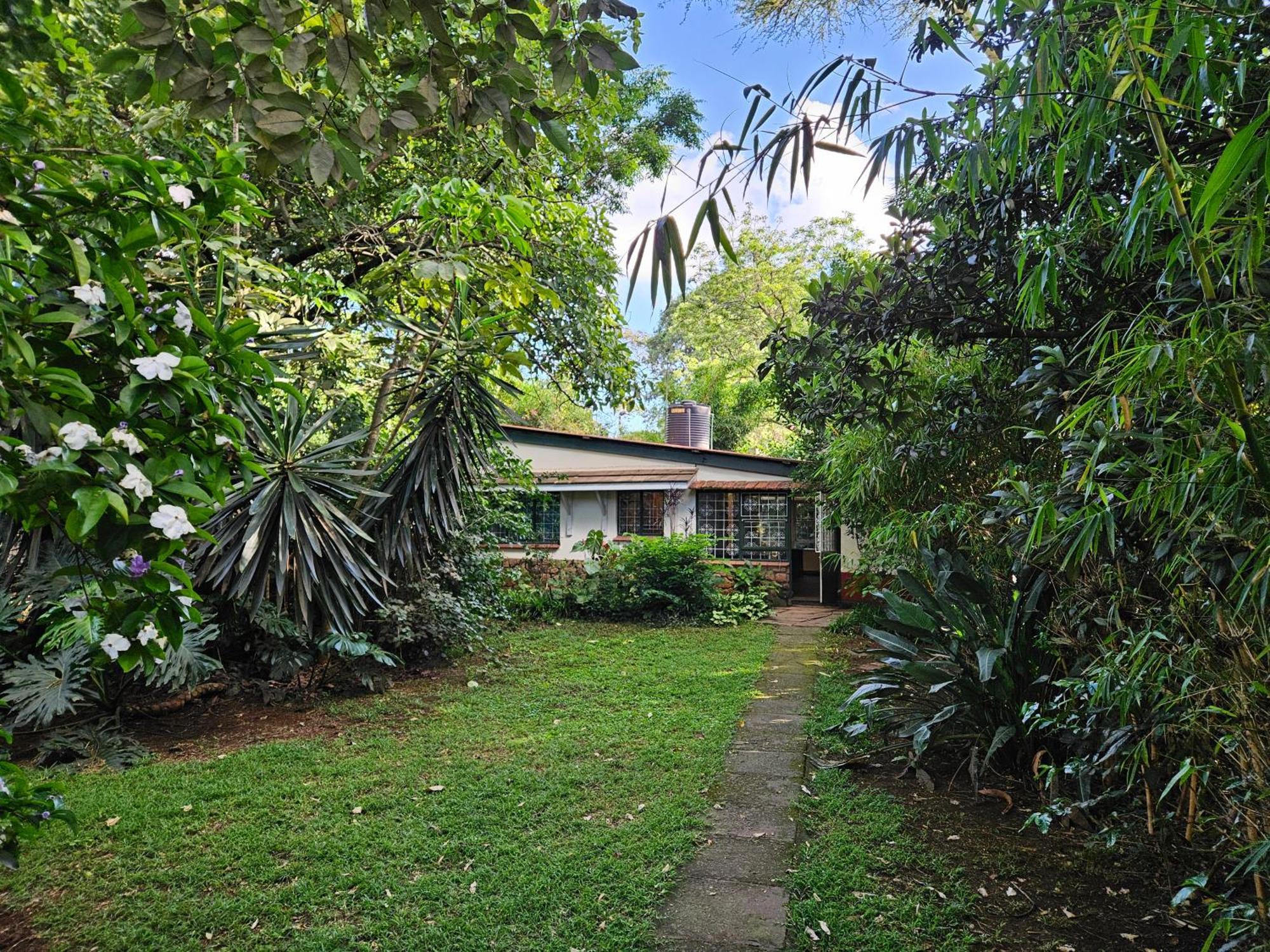 Mad Vervet Nairobi Backpackers Hostel Exterior foto